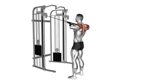 Read more about the article Cable Standing Rear Delt Row with Rope