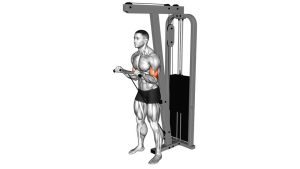 Read more about the article Cable Standing Reverse Curl (SZ Bar)