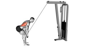 Read more about the article Cable Straight-Arm Pulldown