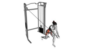 Read more about the article Cable Twist (Up-Down)