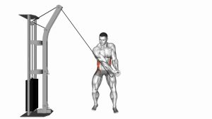 Read more about the article Cable Twist (Up-Down)