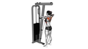 Read more about the article Cable Upright Row