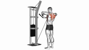 Read more about the article Cable Upright Row