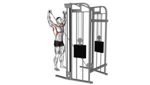 Read more about the article Cable Y Raise