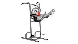 Read more about the article Captain’s Chair Straight Leg Raise