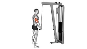 Read more about the article Cable Standing One-Arm Triceps Pushdown (Overhand Grip)