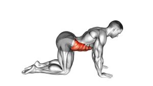 Read more about the article Cow Stretch