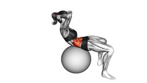 Read more about the article Crunch on Stability Ball