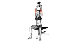 Read more about the article Dumbbell Seated Triceps Extension