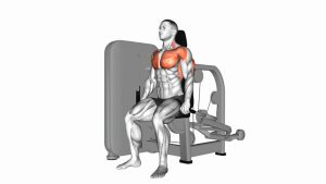 Read more about the article Lever Seated Dip