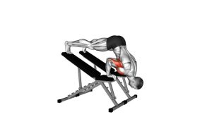 Read more about the article Decline Pike Press (Between Benches)