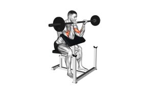 Read more about the article Barbell Reverse Preacher Curl