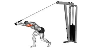 Read more about the article Cable High Pulley Overhead Triceps Extension