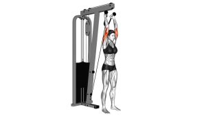 Read more about the article Cable Overhead Triceps Extension (Rope Attachment)