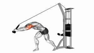 Read more about the article Cable Rope High Pulley Overhead Triceps Extension