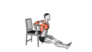 Read more about the article Chair Chest Dip