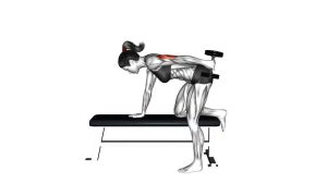 Read more about the article Dumbbell Triceps Kickback