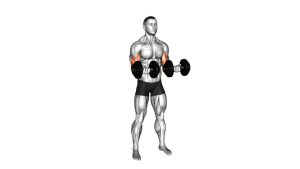 Read more about the article Dumbbell Standing Reverse Curl Rotate