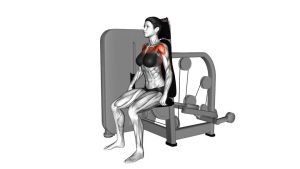 Read more about the article Lever Seated Dip