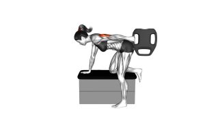 Read more about the article Bottle Weighted Kickback