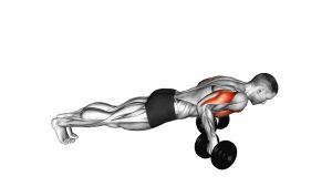 Read more about the article Dumbbell Reverse Push-Up