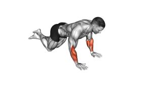 Read more about the article Kneeling Fist-to-Palm Switch