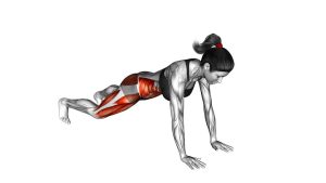 Read more about the article Bridge Mountain Climber (Cross Body)