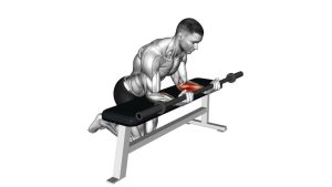 Read more about the article Barbell Palms-Up Wrist Curl Over a Bench