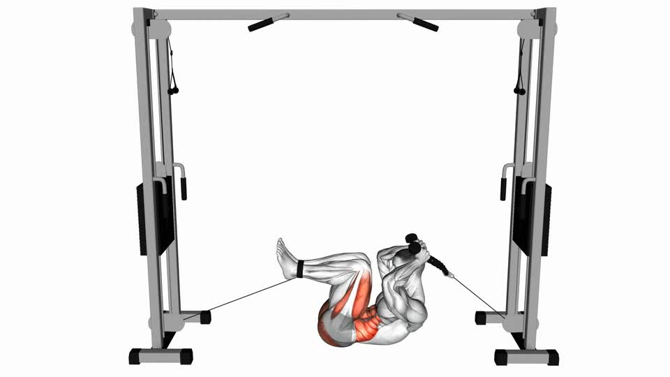 Mp Crunch Cable Tuck Reverse Crunch - ManiacMuscle