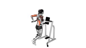 Read more about the article Triceps Dip