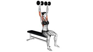 Read more about the article Dumbbell Seated Arnold Press