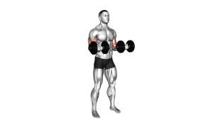 Read more about the article Dumbbell 21s