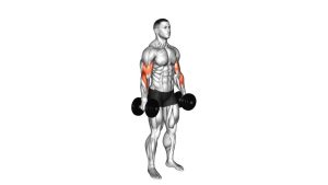 Read more about the article Dumbbell Alternate Biceps Curl