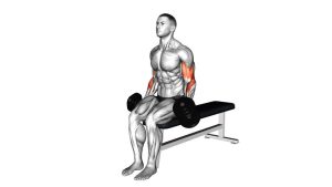 Read more about the article Dumbbell Alternate Biceps Curl