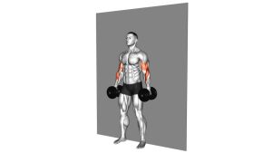 Read more about the article Dumbbell Alternate Hammer Strict Curl