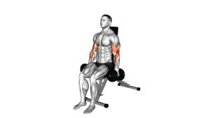 Read more about the article Dumbbell Alternate Seated Hammer Curl