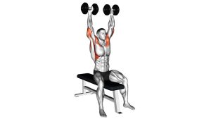 Read more about the article Seated Dumbbell Shoulder Press