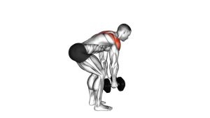 Read more about the article Dumbbell Bent-Over Alternate Rear Delt Fly