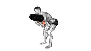 Read more about the article Dumbbell Bent-Over Curl