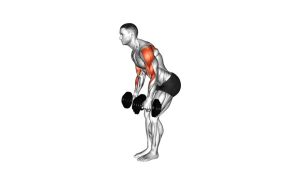 Read more about the article Dumbbell Bent-Over Reverse Fly to Hammer Curl