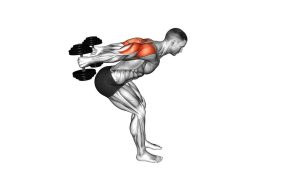 Read more about the article Dumbbell Bent-Over Reverse Raise (Skier Style)