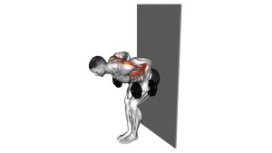 Read more about the article Dumbbell Bent-Over Row Against Wall