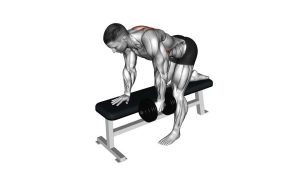 Read more about the article Dumbbell Bent-Over Scapula Row