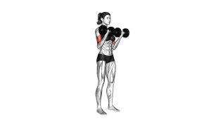 Read more about the article Dumbbell Biceps Curl