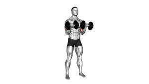 Read more about the article Reverse Dumbbell Curl