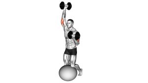 Read more about the article Dumbbell Biceps Curl with Overhead Triceps Extension on Stability Ball