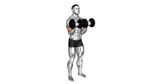 Read more about the article Dumbbell Close-Grip Curl
