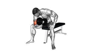 Read more about the article Dumbbell Concentration Curl