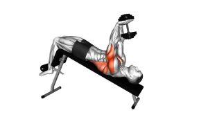 Read more about the article Dumbbell Decline Pullover