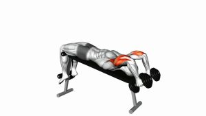 Read more about the article Dumbbell Decline Triceps Extension